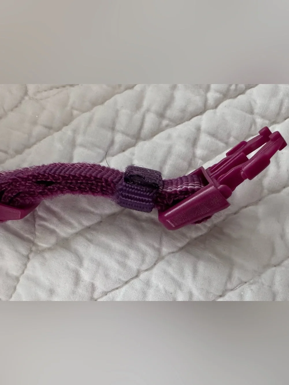 New~Frisco Plum Adjustable Dog Collar
